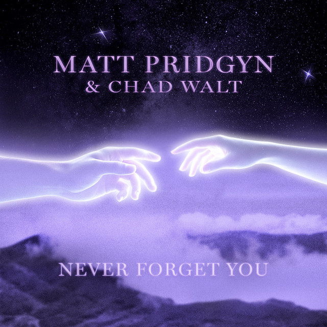 Never Forget You